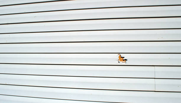 Best Fiber Cement Siding Installation  in Succasunna, NJ