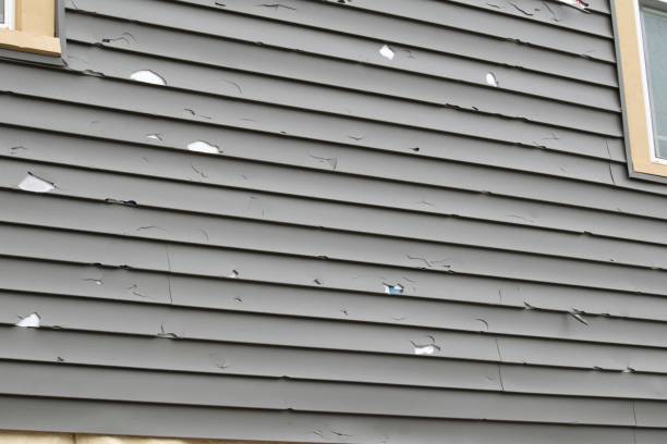 Best James Hardie Siding  in Succasunna, NJ